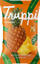 Organic Dried Pineapple