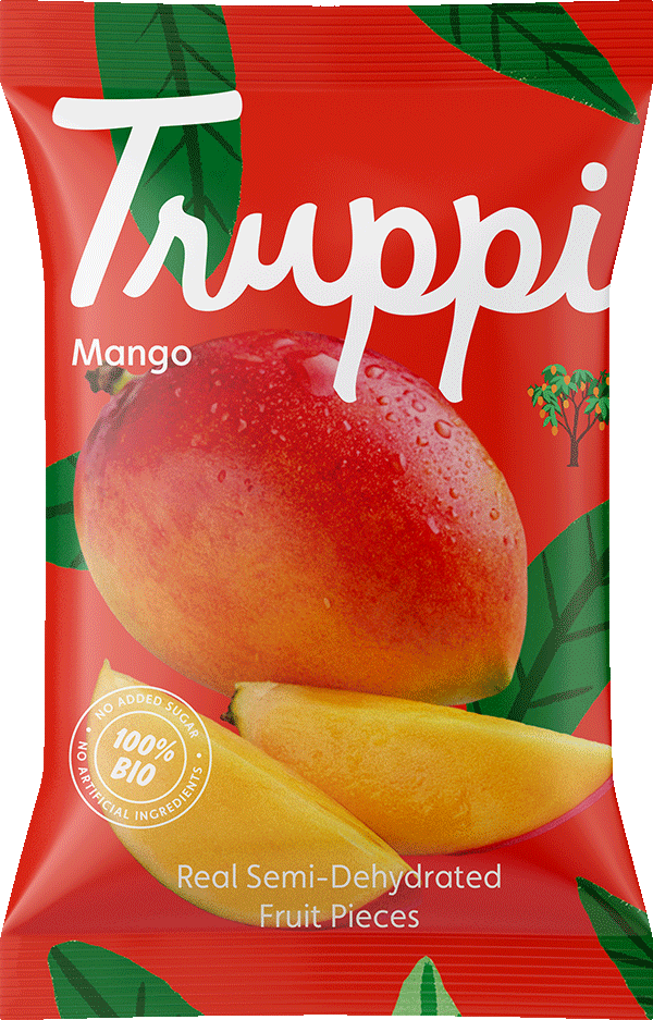 Organic Dried Mango Snacks