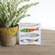 Sardinhas Soap - 50gr