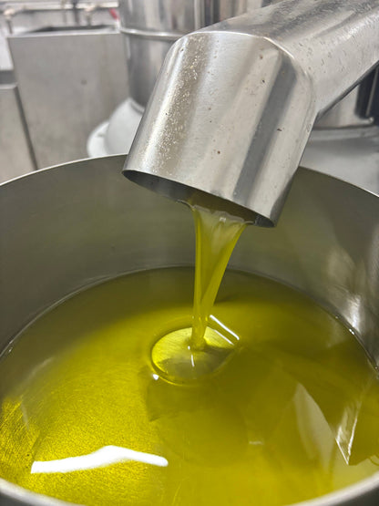 Extra Virgin Olive Oil - Portuguese "Galega" (olive variaty)
