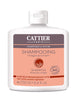 Shampoo For Oily Hair