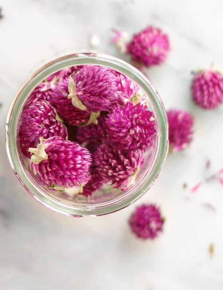 Purple Globe Tea | From Portugal