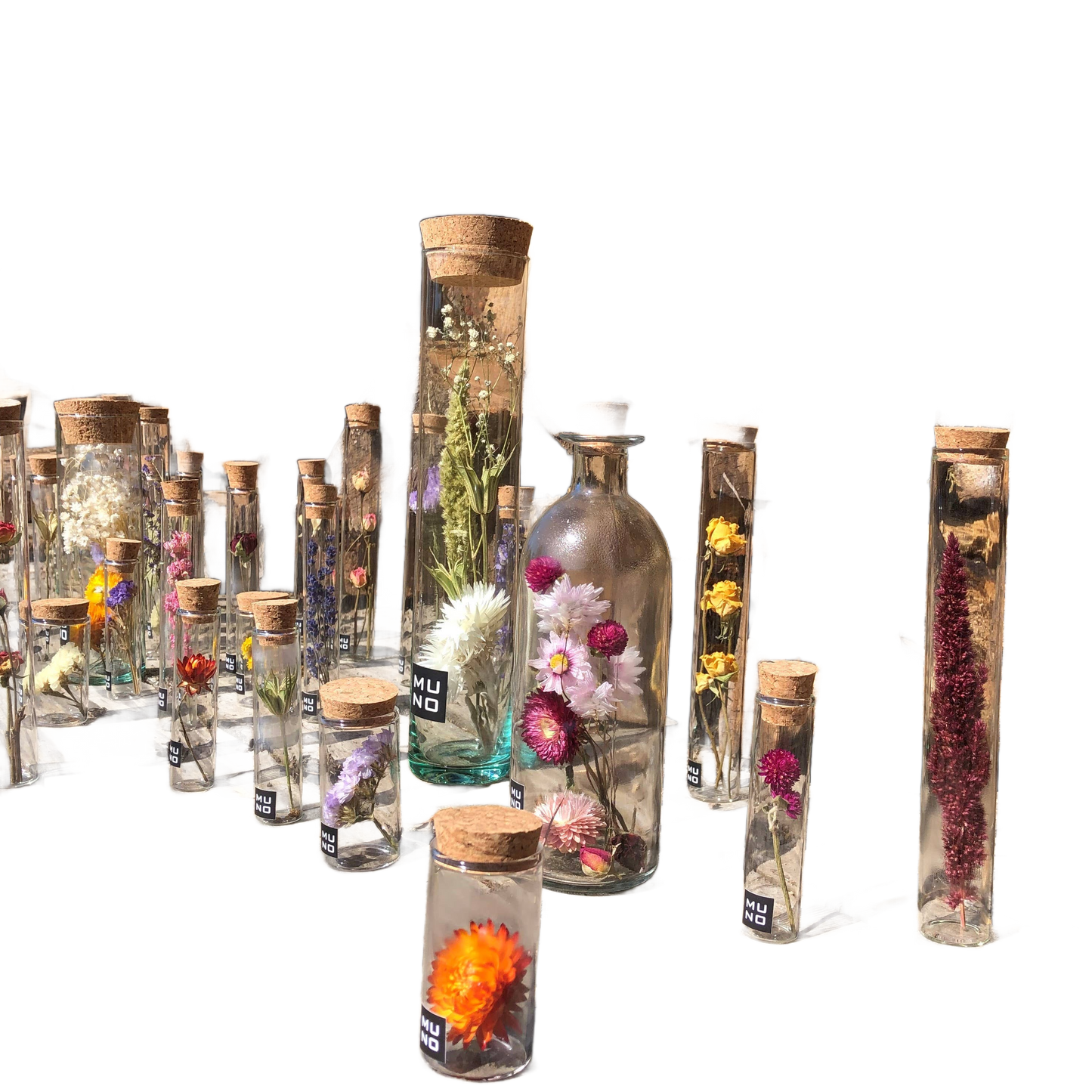 this is a product image