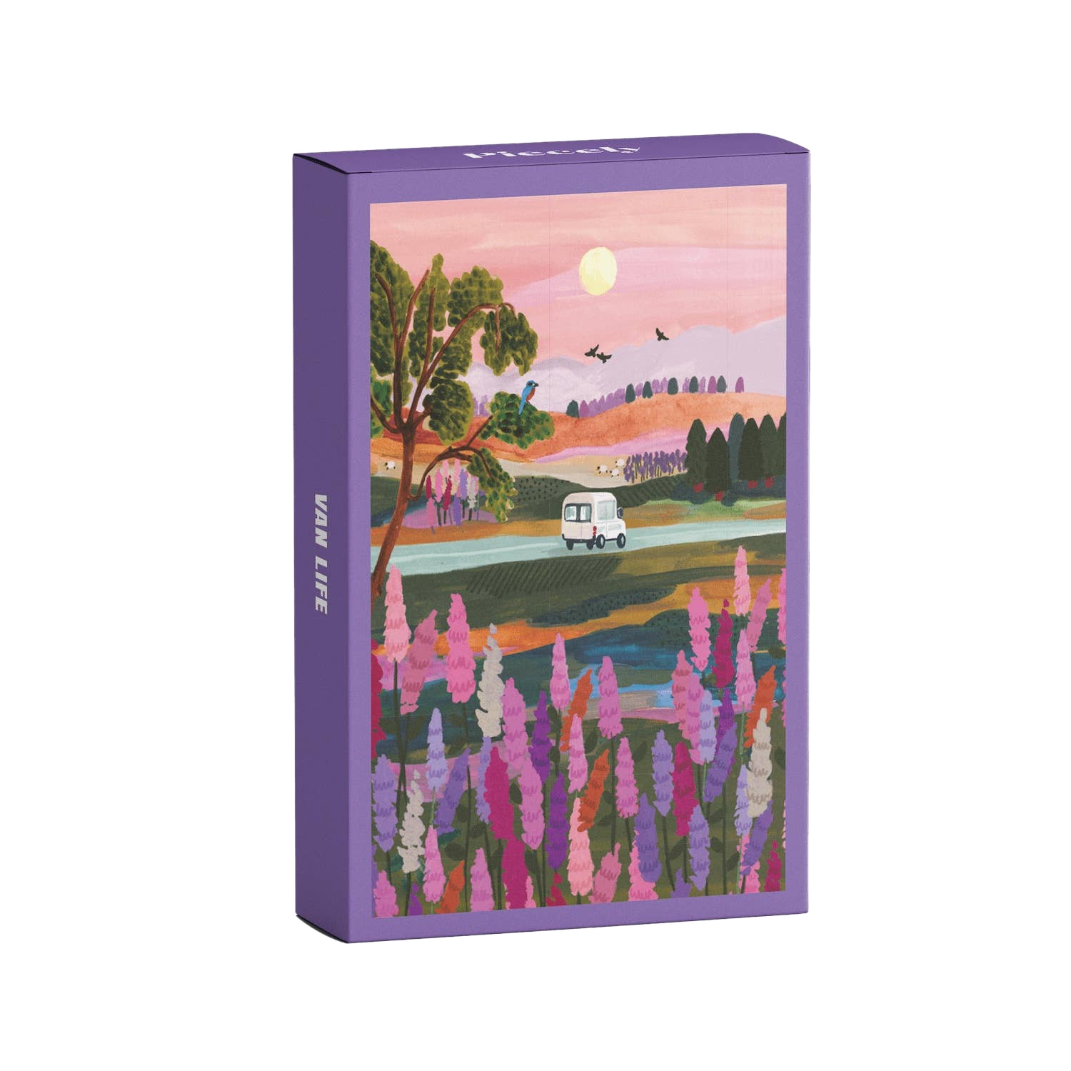 this is a product image